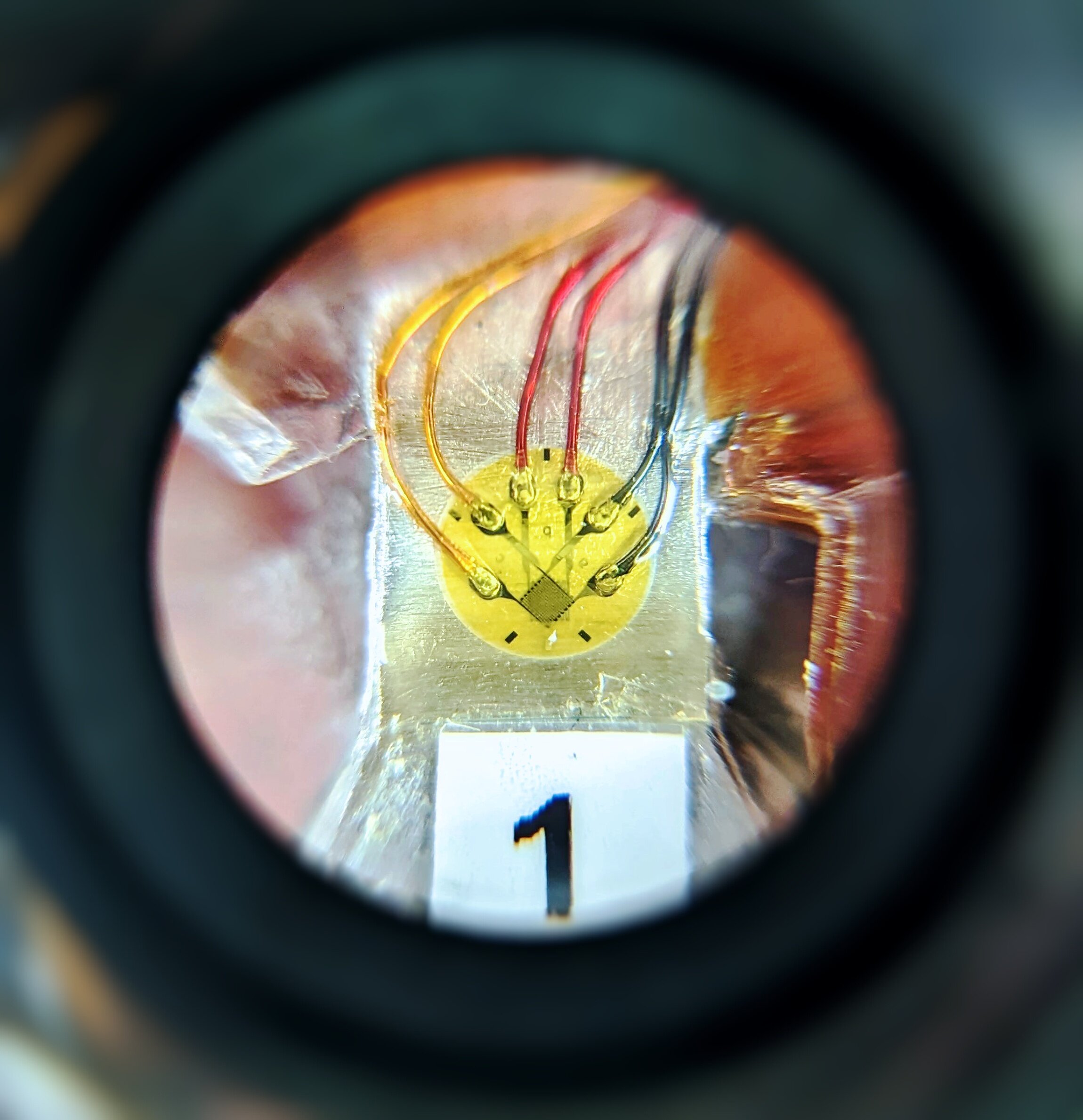 Strain Gauge Application